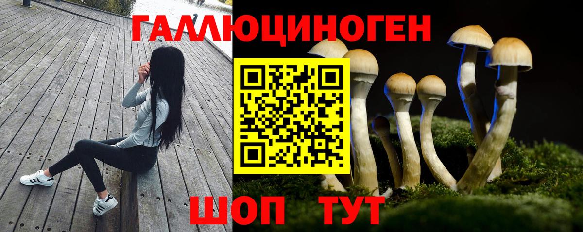 Осинники  Псилоцибиновые грибы прущие грибы  Вход с VPN 